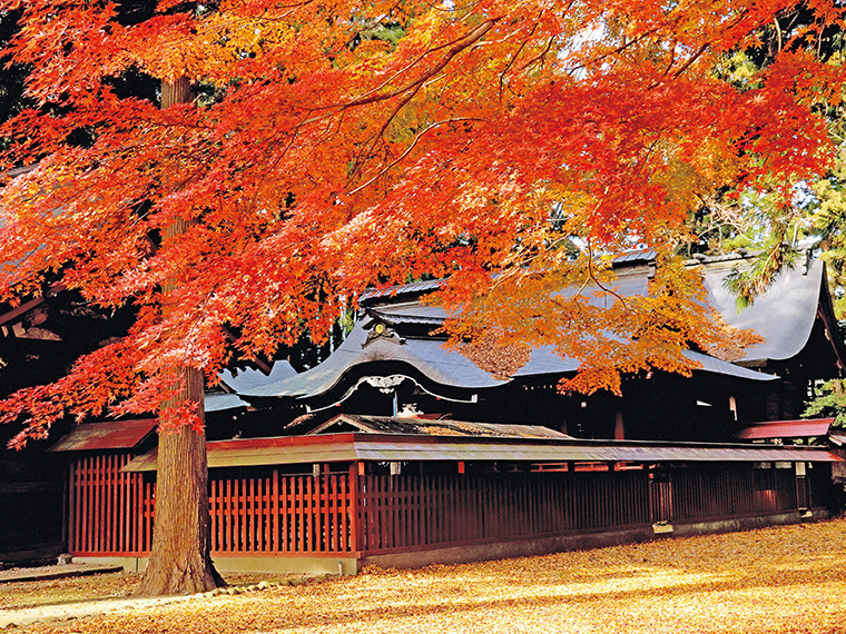 紅葉とイチョウの絨毯に目を奪われる八槻都々古別神社の境内