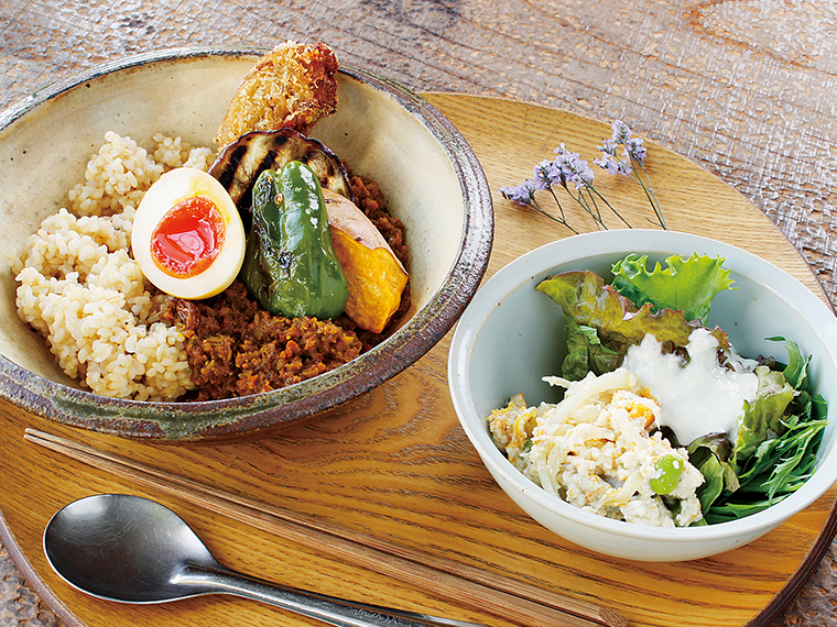 この日は「ゴボウと高野豆腐のキーマカレー」(1,250円)。半熟玉子、車麩のカツ、サツマイモなどをトッピング。サラダ付き
