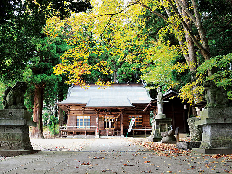 【白和瀬神社（しらわせじんじゃ）】