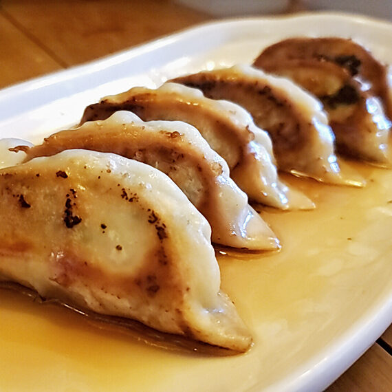 肉々しい「シャモ餃子」(単品500円)はさっぱりとしたドレッシングで