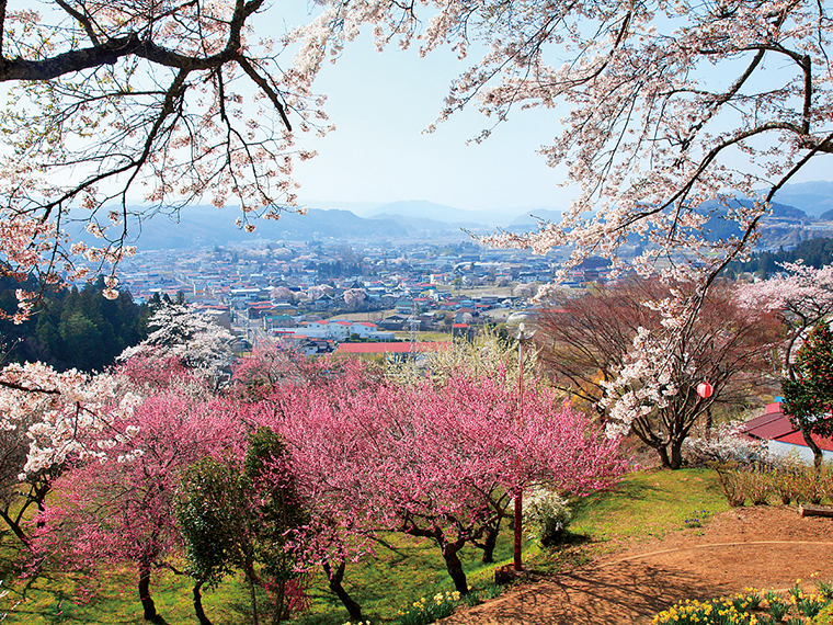棚倉町全体を眺望できる丘陵地の『赤館公園』。約300本の桜が圧巻で花見にもピッタリ。桜の見頃は4月中旬。花壇のある公園散策路は景色も良く、心地良い時間を過ごすことができる。