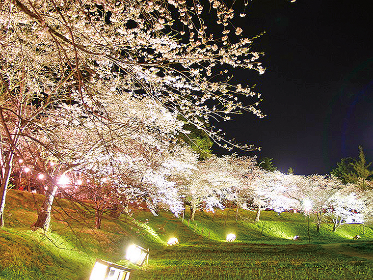 塩川町にある「御殿場公園」では、約200本のソメイヨシノが咲き誇り、4月上旬から中旬の開花に合わせて、ライトアップも予定。また、喜多方に来た際は農泊もおすすめ。詳細はHPで
