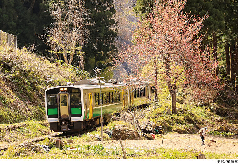 【只見線沿いにある民家の桜（大沼郡金山町下大牧集落）※写真は2021年4月26日撮影】※個人所有地のため、鑑賞や撮影の際はマナーを守ってください［撮影機種：EOS R5、手持ち撮影、シャッター速度：1／500、F13、絞り優先］