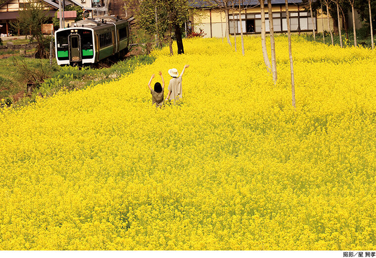 【菜の花畑の中から只見線列車に手を振る親子（大沼郡三島町大字宮下地内）※写真は2021年5月8日撮影】［撮影機種：EOS R5、手持ち撮影、シャッター速度：1／1000、F13、絞り優先］