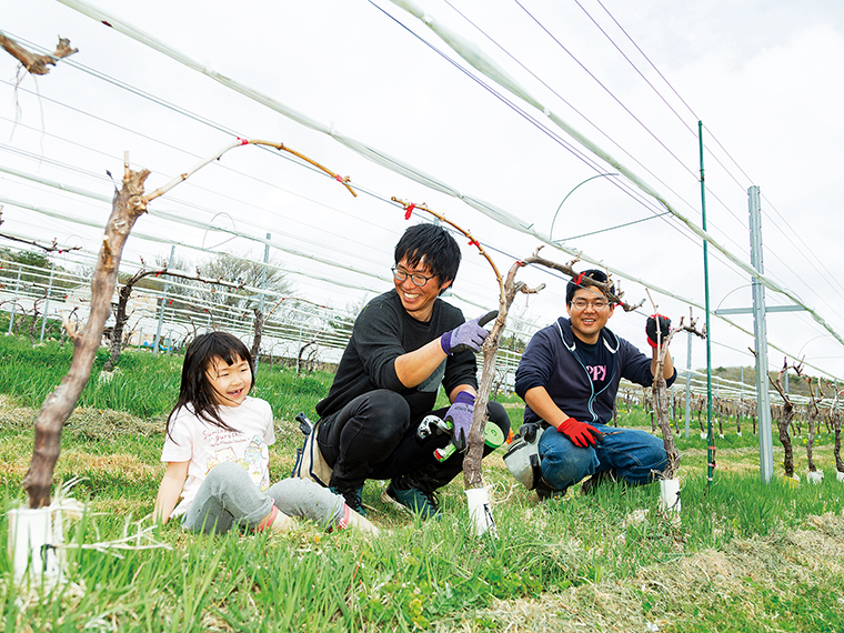 友乃ちゃんはブドウ畑での作業も慣れたもので、この日も雑草の抜きとりをお手伝いしていた