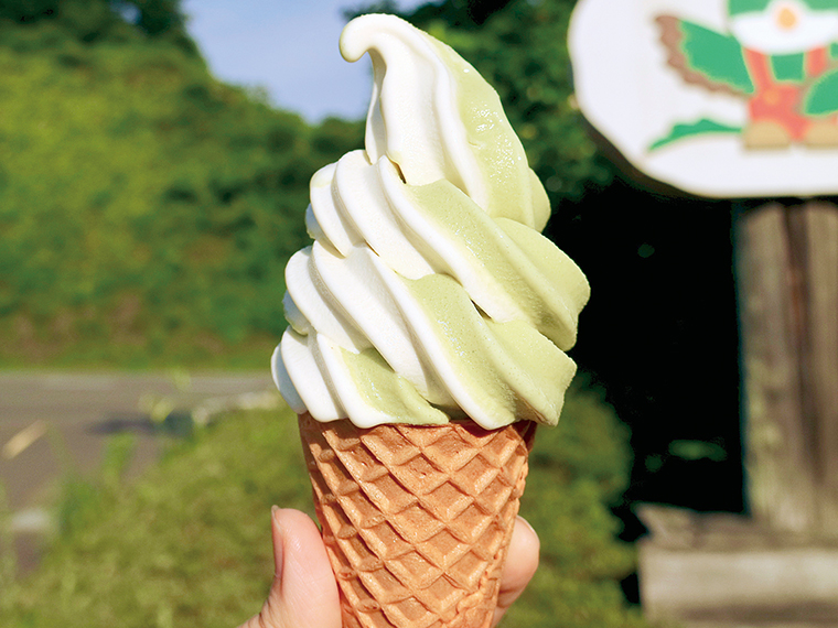 「さるなし・空心菜ミックスソフトクリーム」(300円)