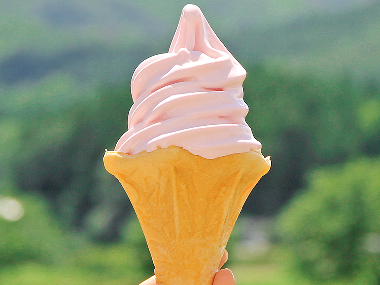 「ダリアのソフトクリーム」(300円)