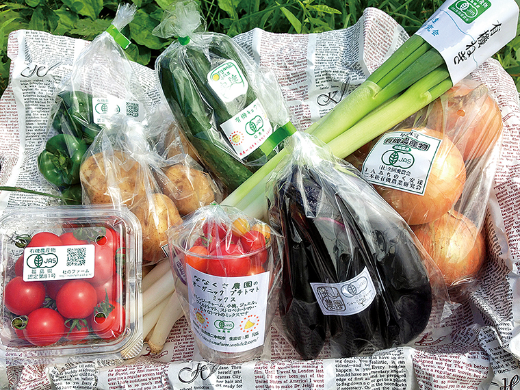 「旬の有機野菜セット」（2,500円）※販売期間：2022年7月20日～8月31日【オーガニックふくしま安達［二本松市］】