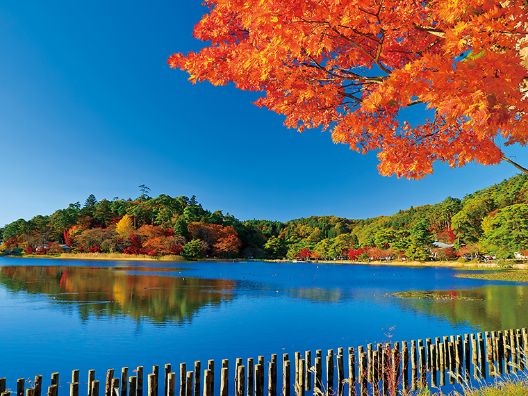 10月から11月にかけて、楓などの木々が色付き、湖畔にある「南湖十七景」と呼ばれる17の景勝地が見どころ。湖に映る紅葉や隣接する日本庭園「翠楽園」など風情溢れる公園