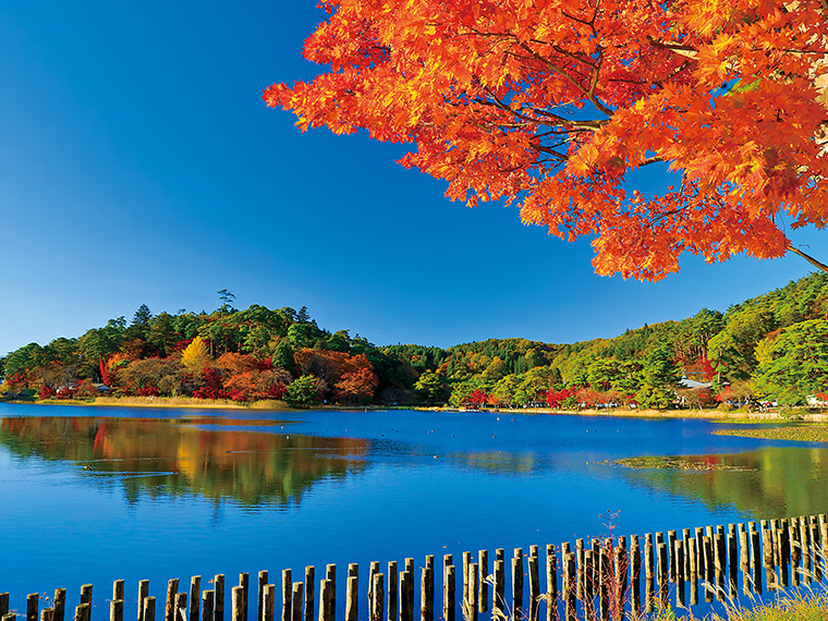 【白河市】南湖公園