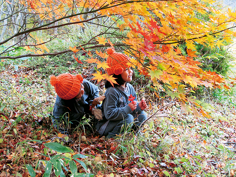 秋の森はカラフルな落ち葉やドングリなど、宝物がいっぱい！自然遊びのプロのスタッフがサポートするので、安心して楽しめる。キャンプやアウトドアもぜひ