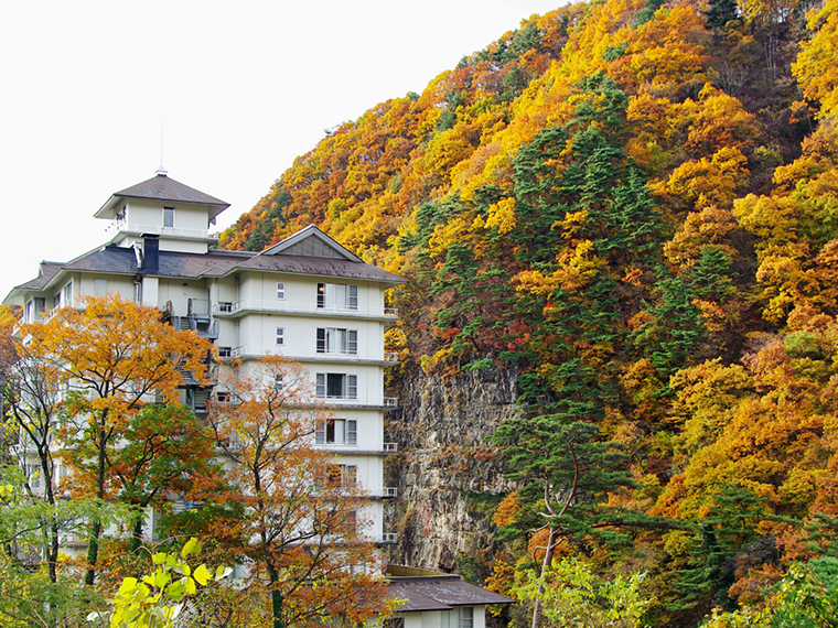 向かいにある片倉山の紅葉は圧巻。自然に囲まれリラックスできる