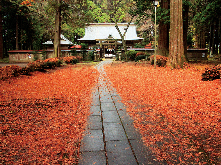 馬場都々古別神社の鎮守の森。静かな境内では自然の力を感じる古木が出迎える