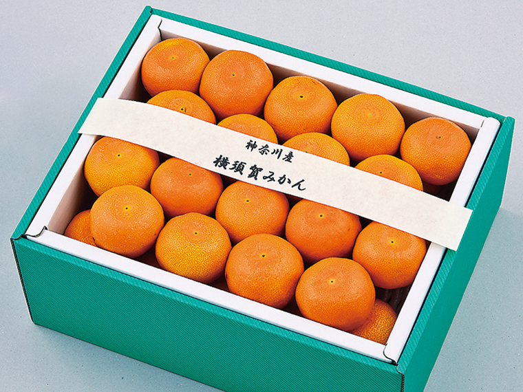 「横須賀みかん(2kg)」(5,000円〜・税込5,400円〜)
