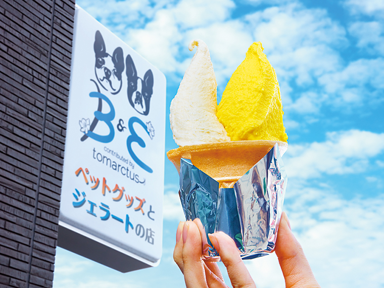 ジェラートは、シングル・330円、ダブル・430円。写真は秋冬限定の和栗&パンプキン