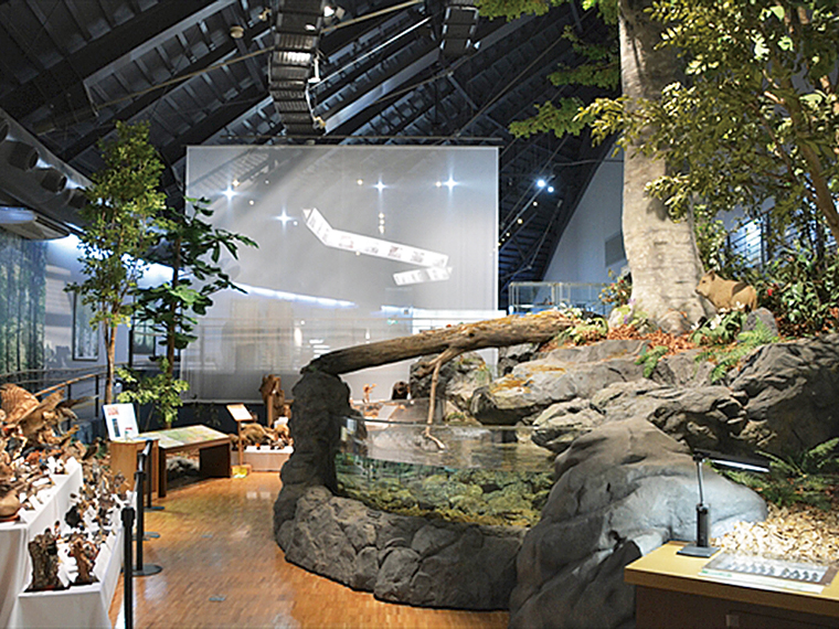 ブナと自然をテーマにした展示が人気の「ただみ・ブナと川のミュージアム」