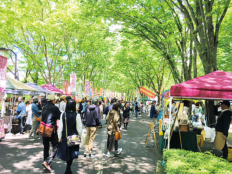 新緑の公園を散策しながら、のんびり楽しもう