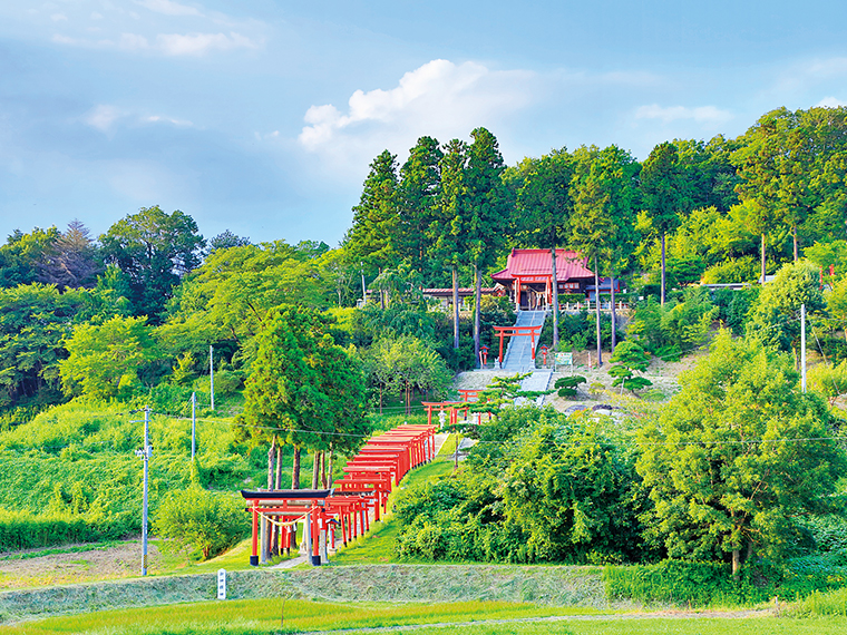 表参道を登りきって見る景色は壮観