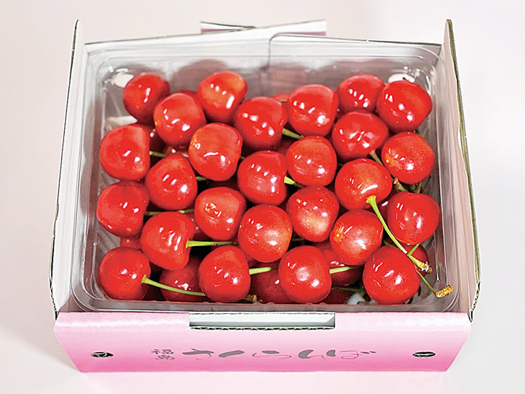 ［予約は2024年6月10日まで。6月上旬から順次発送］「佐藤錦（500g）」（3,500円）【あづま果樹園［福島市］】