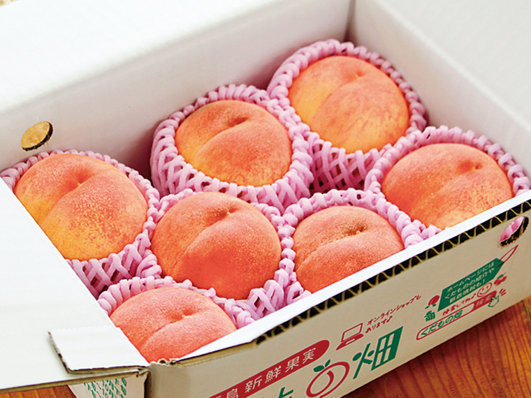 ［予約は8月下旬まで。7月上旬頃から順次発送］「品種おまかせ 福島市の桃 1.5kg（6〜9玉）（3,150円）【くだもの畑［福島市］】