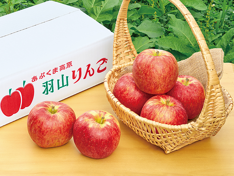 ［予約受付中！発送開始は2024年9月1日から順次※注文受付は12月下旬まで］「樹上完熟の「羽山りんご」（3kg）」（4,104円）【マルハラ果樹園［二本松市］】