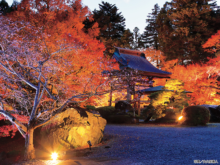 闇夜に浮かぶ真っ赤な紅葉は圧巻!境内を散策し幻想的な雰囲気に酔いしれよう