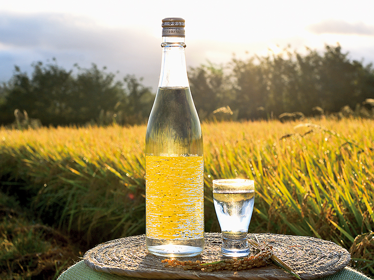 純米吟醸生酒「今朝しぼり」(720ml・送料込み2,750円)。新酒らしいさわやかな口当たりで、米の甘みも感じる。ギフトにもおすすめ。化粧箱(100円)もあり