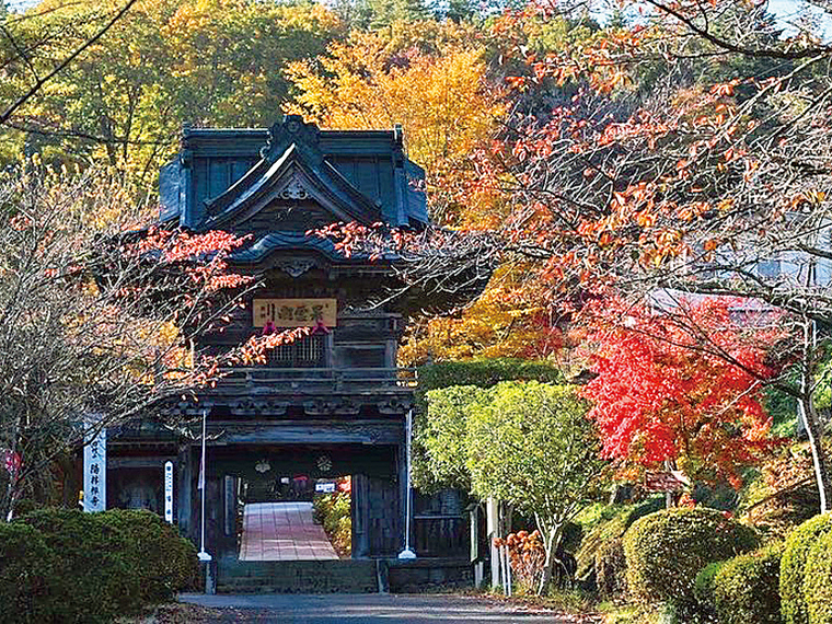 歴史を感じる古刹と紅葉のコラボを 楽しんで