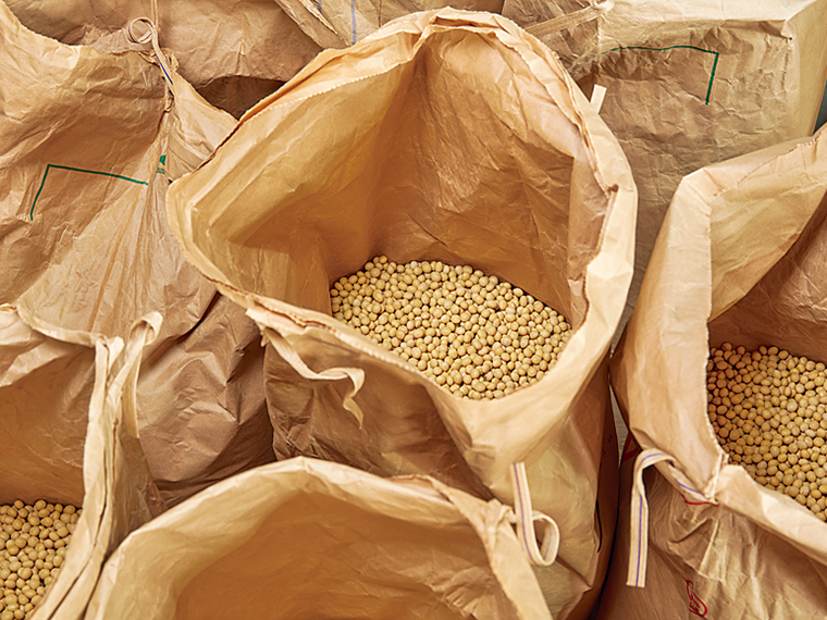 品種は機械で収穫しやすい「タチナガハ」。大粒で、煮豆、豆腐、味噌などの加工に向いている