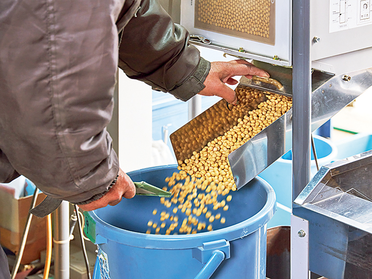 米の収穫が終わった後に、自社の作業場で大豆の選別作業が行われる。写真は粗選機で作業する様子