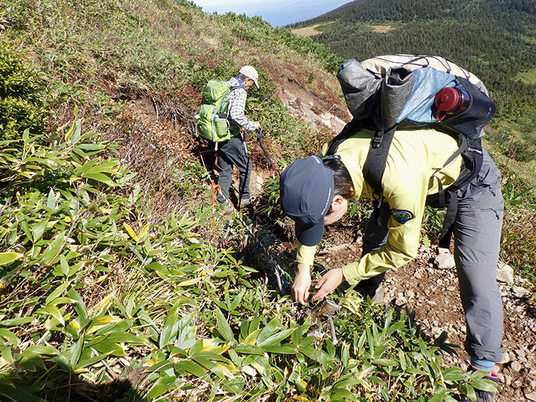 地域団体の方と登山道にロープを張り、登山者の踏圧から植物を守ります