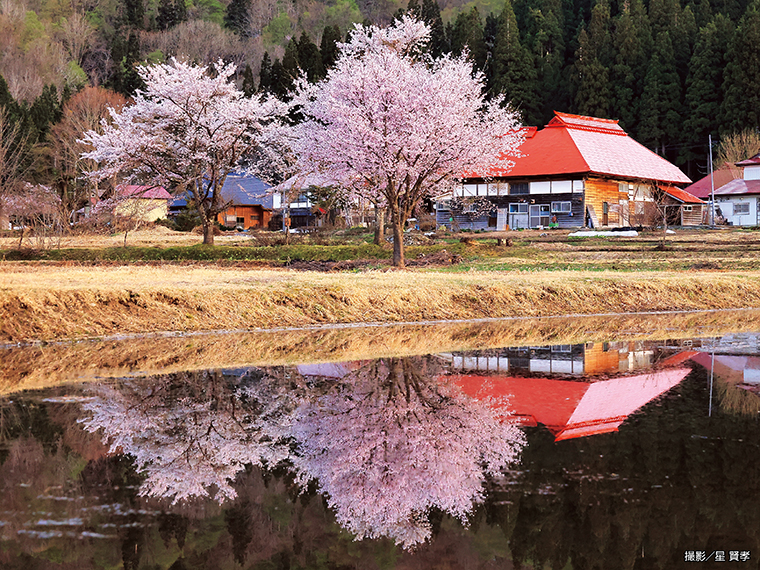 【太郎布集落の春の訪れ（大沼郡金山町太郎布）※2023年4月20日撮影】［撮影機種：Canon EOS R5、手持ち撮影、シャッター速度 1／400、F7、絞り優先］