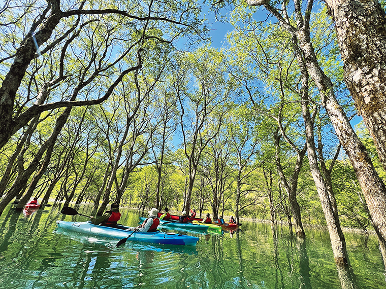 例年3月末から5月末までの2ヵ月間、「白川湖の水没林」のカヌーツアーを開催する(2024年は5月25日(土)まで)。ガイド付きで初心者も安心。体験予約はHPから