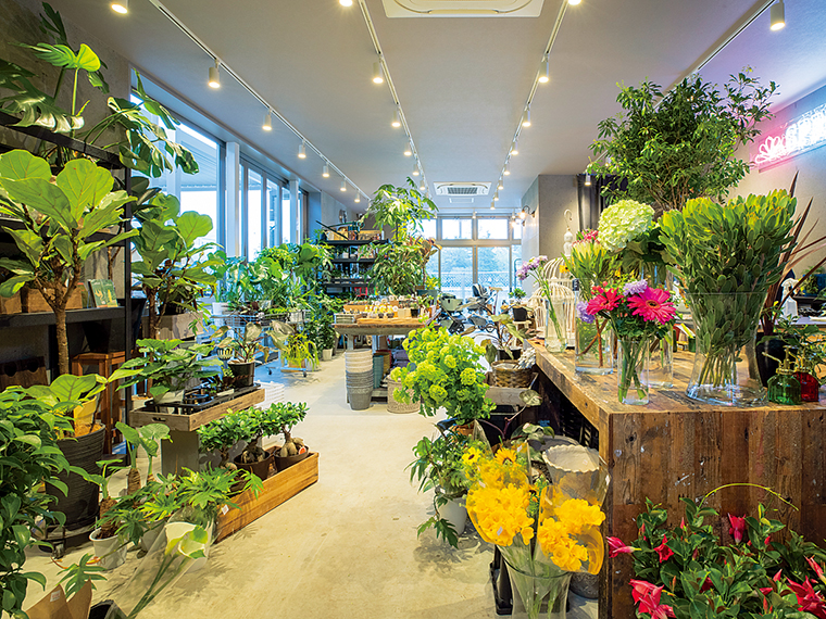 植物園に迷い込んだような緑あふれる店内。花苗、観葉植物、生花、鉢、ガーデニングツールなど品添えも豊富。外構・庭づくりの相談もお気軽に