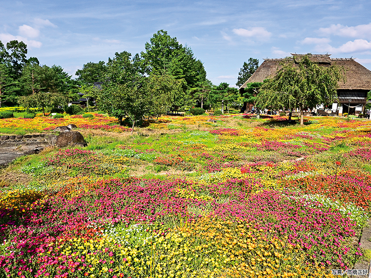 色とりどりに彩られる園内。写真撮影も楽しい（写真／高橋正好）