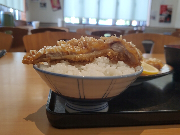 やわらかチキンは、ライスの稜線に沿ってイナバウアー