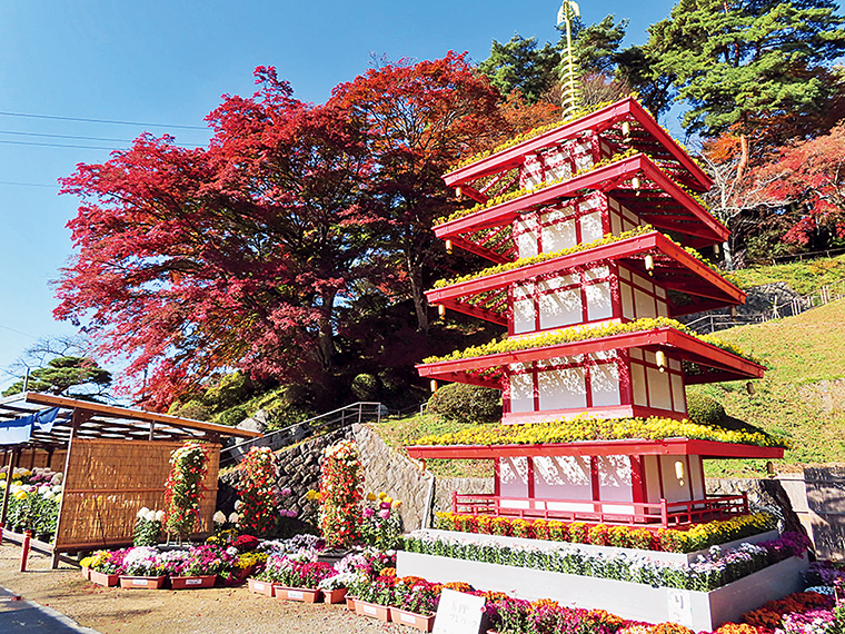 会場の紅葉が色付くと、より華やかな空間に