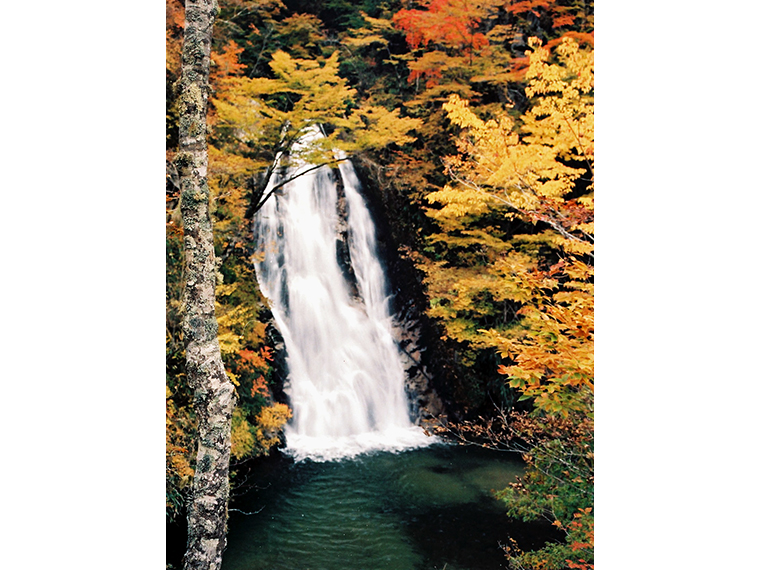 紅葉で彩られる『行司ヶ滝』