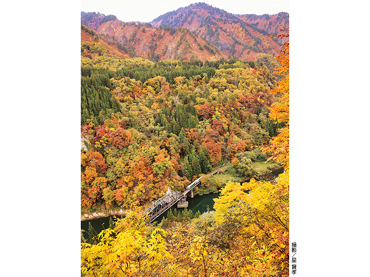 【紅葉に染まる第四只見川橋梁を走る只見線列車（大沼郡金山町水沼地区）※2022年11月撮影】［撮影機種：Canon EOS R5、手持ち撮影、シャッター速度 1／640、F11、絞り優先］
