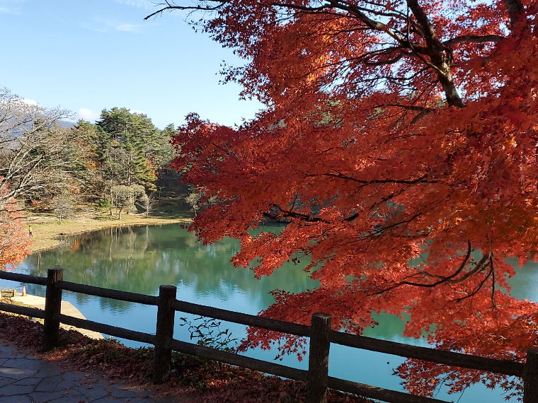 11月は毘沙門沼に映える紅葉も最高潮