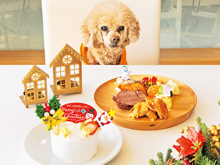 予約制の手作りXmasケーキと「ごちそうディナー」(全6品・スープ付き)はテイクアウトBOXに入れて。愛犬にもごちそうを
