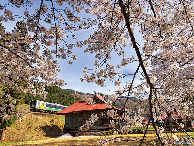 【大志集落の八幡神社の桜（大沼郡金山町大字大志）※2023年4月撮影】［撮影機種：Canon EOS R、手持ち撮影、シャッター速度1／1000、F13、絞り優先］