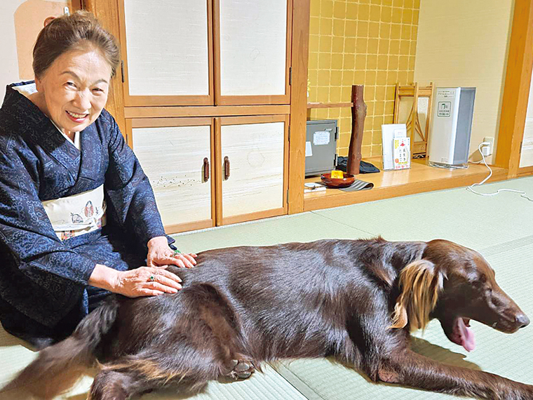 客室にてワンちゃん大好きな女将と