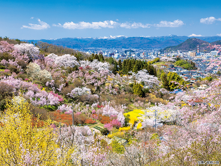 渋滞を避けてのんびりと楽しみたいという人は福島駅発着の臨時バス「花見山号」の利用がおすすめ