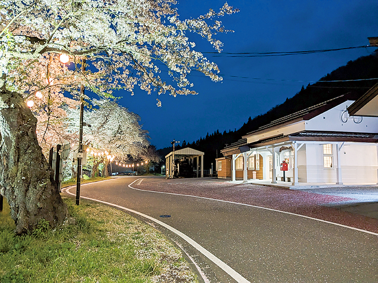 駅の前には桜も。夜には灯りにともされる