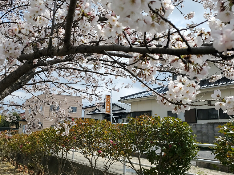新学期の富田西小学校を見守る『すずや食堂』さん。住宅地に溶け込む外観はもはや風景の一部