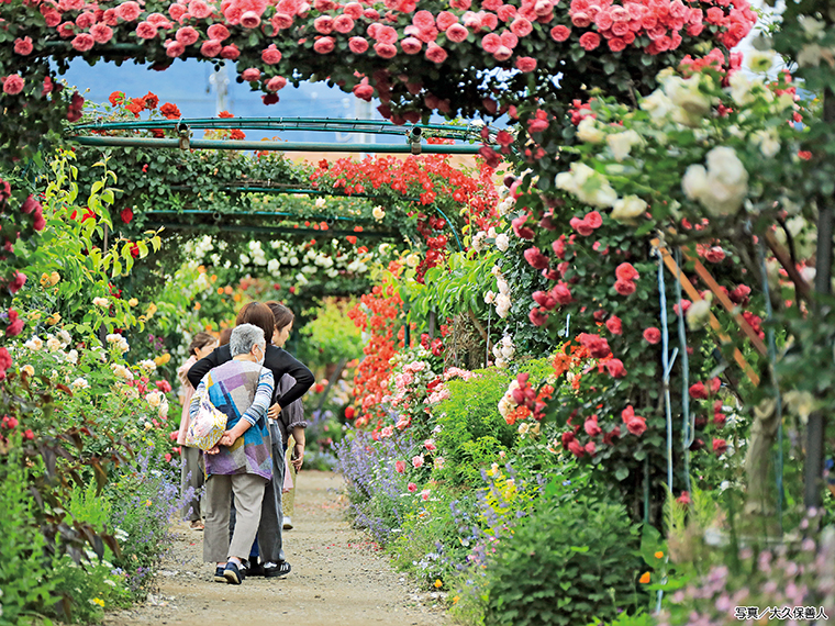梨園の通路にあるバラアーチは12個。バラ3,000株の他、草花で彩られたオープンガーデン。2008年の一般開放から多くの人が見学に訪れている
