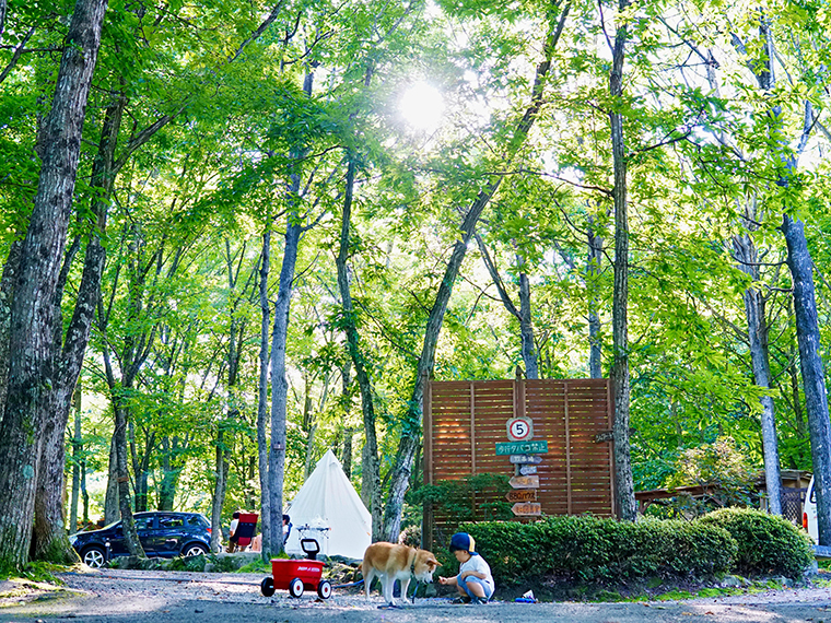 初心者キャンパーにも優しい家族向けのアットホームなキャンプ場。 愛犬も大歓迎!