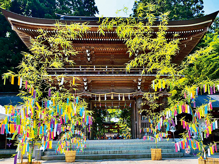 2024年の境内の様子。2025年8月24日(日)までは夏越大祓やジャズイベントなど盛りだくさん