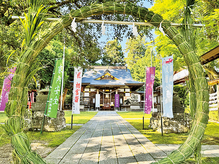 鳥居付近には茅の輪を用意。「茅の輪のくぐり方」の看板があるので参考にしてみよう